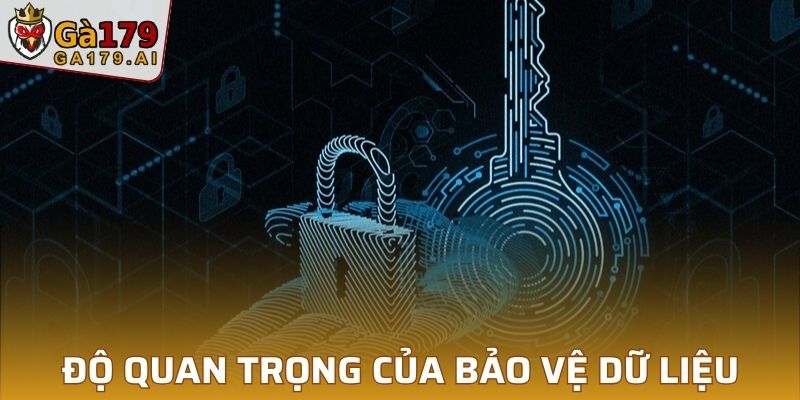 Độ quan trọng của bảo vệ dữ liệu cá nhân